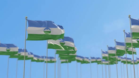 Kabardino Balkaria Row Of Flags 3D Animation