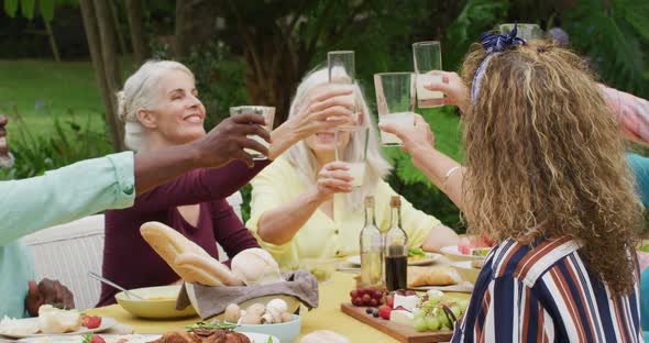 Animation of diverse happy senior female and male friends eating lunch in garden, toasting