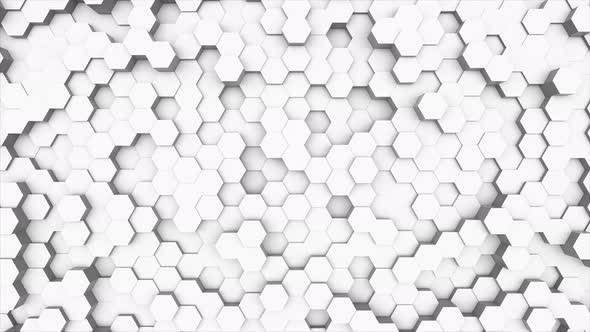 Random Waving Motion Abstract Background From Hexagon