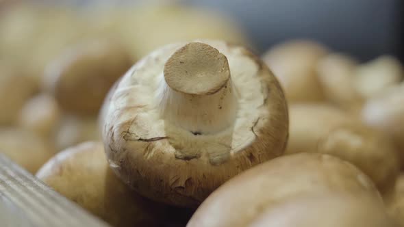 Extreme Close-up of Champignons in Grocery Store. Fresh Mushrooms Lying on the Shelf in Retail Shop