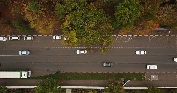 Top Down Drone Point of View - Steet City Road Intersection in Autumn Time