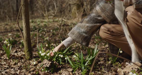 girls picking flowers bluebells snowdrops in the forest in spring