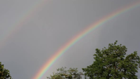 Rainbow Over A Wheat Field.