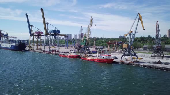 Aerial Drone. Flight Over Container Port With Ships And Cranes