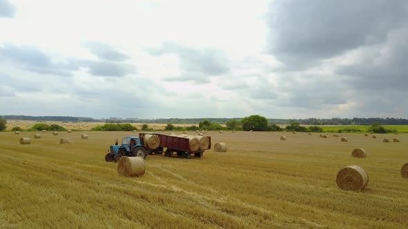 Tractor Loading Bales Of Hay. Universal tractor loader loads the trailed straw bales