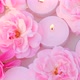 Flower candles.rose candle.Aromatherapy and spa - VideoHive Item for Sale