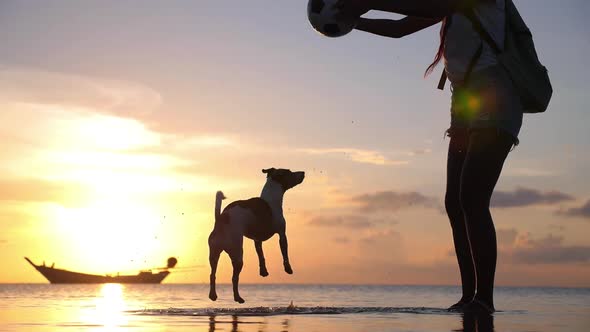 Girl Playing with Dog at Beach During Sunset