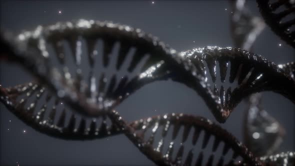 Double Helical Structure of Dna Strand Close-up Animation alt