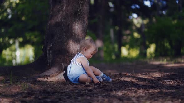 the curiosity and interest of children, a child sitting on the ground studying, examines the forest