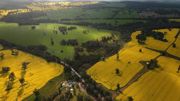 Canola fields from above in rain