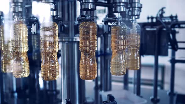 Olive Oil Pouring into Plastic Bottles