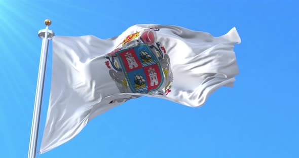 Campeche Flag, Mexico. Loop