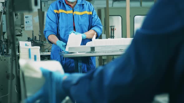 Factory Staff Are Sorting Paper Tissues on the Conveyor Belts