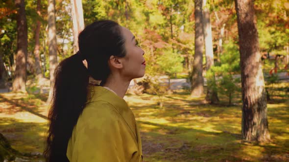 Elegant Japanese woman in Kyoto Japan