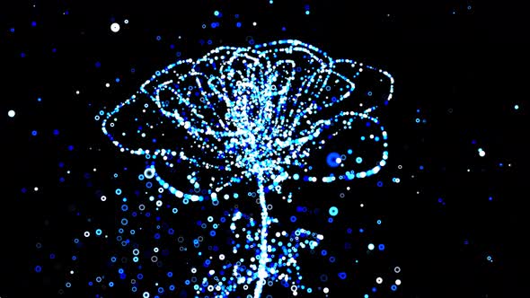 3D motion design of an opening flower