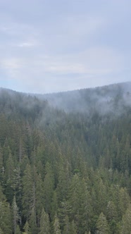 Carpathian Mountains