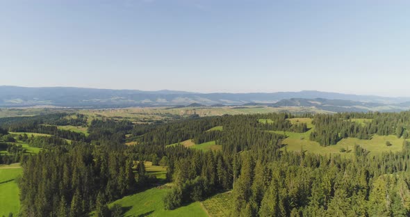 Flying Over the Beautiful Forest Trees. Landscape Panorama.