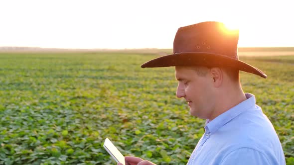 Agribusiness  Check the Growth of Soybeans Using a Tablet Green Soybean Field