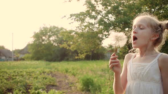 Child Girl Playing With The Dandelion Flower