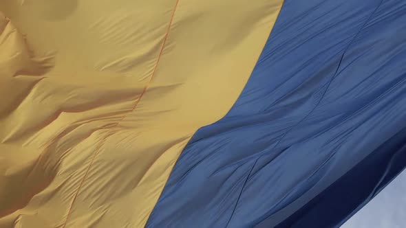 Vertical Video National Flag of Ukraine