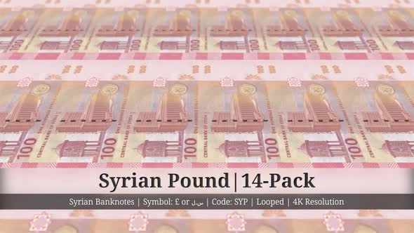 Syrian Pound | Syria Currency - 14 Pack | 4K Resolution | Looped