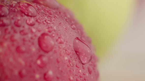 Close-up shot of a red apple. A drop is rolling down