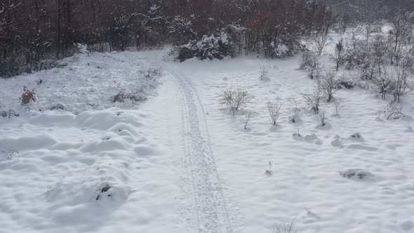 Slow descending on white snowed path in the forest 4K drone video