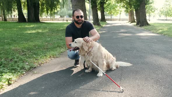 Blind Mature Man with Guide Dogs Sitting on Bench in Park