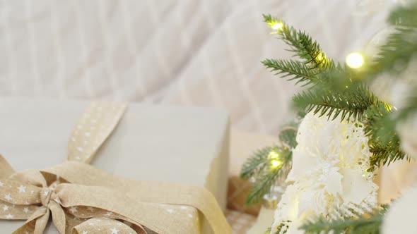 Present Box Near the Christmas Tree