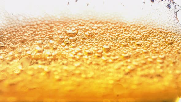 beer . beer foam. beer bubbles. light beer