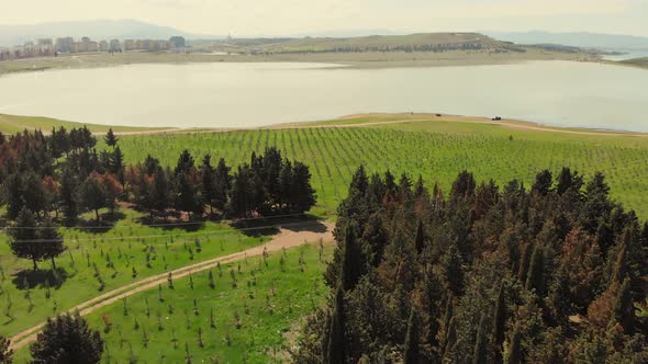 Tbilisi Sea With New Tree Plantation