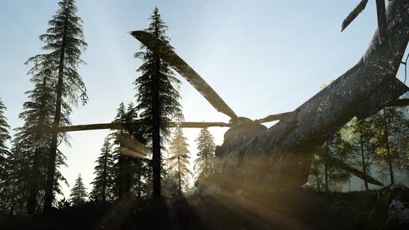 Old Rusted Military Helicopter in the Mountain Forest alt