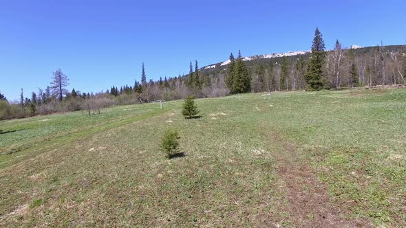 Aerial of Scenic Walk in Wilderness