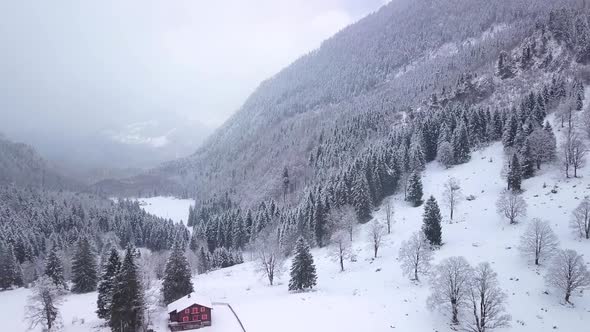 Aerial view over a valley with a lot of snows, trees and forest in Switzerland while winter.