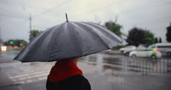 Unrecognizable Man Walking in City Under Umbrella
