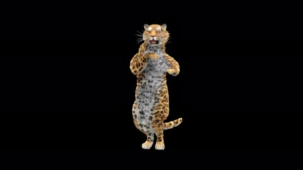 Leopard Dancing 4K