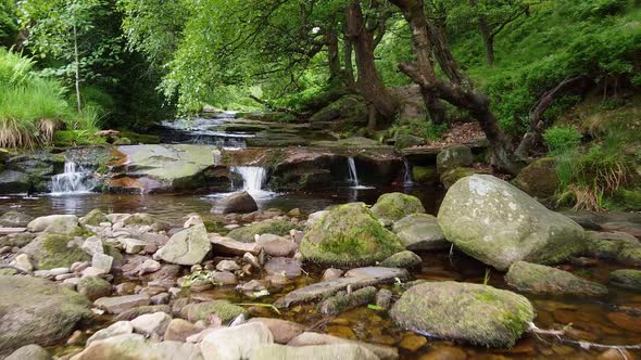 Slow flowing moorland stream with water moving over small and large rocks and overhanging trees. Sho