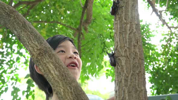 Cute Asian Child Playing With Rhinoceros Beetle In The Forest