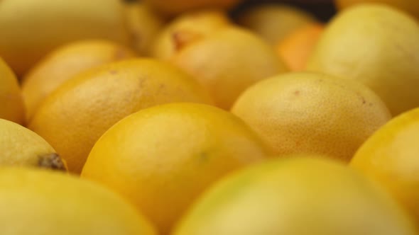 Lots of Large Ripe Lemons in a Box