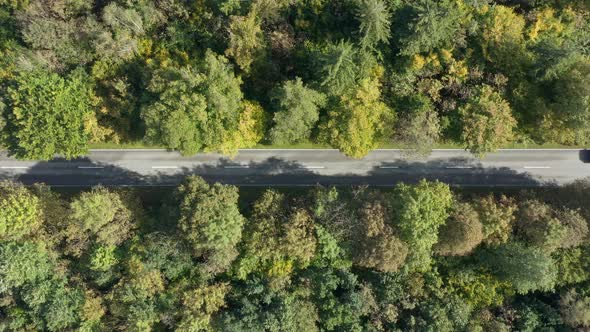 Aerial slow zoom out shot of a autumnal landscape of a forest with driving cars passing by the cente