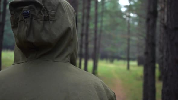 Rear View of a Hooded Forester Looking Out Over the Forest