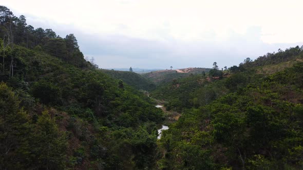 Magical coffee plantation valley in Vietnam, near Da Lat, aerial view