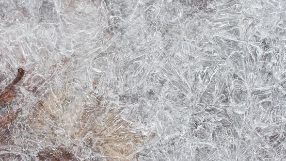 Cracked Ice Texture with Frozen Autumn Leaves Closeup Slow Motion