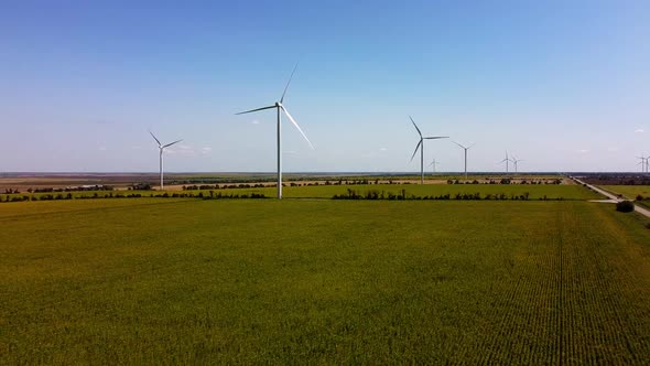 Sunflower field. Windmill. Wind farm.