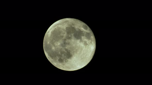 Full Moon in the Night Sky