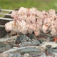 Marinated Shashlik Preparing on a Barbecue Grill Over Charcoal - VideoHive Item for Sale