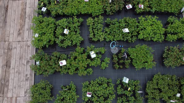 aerial view of garden shop. working people. potted plants