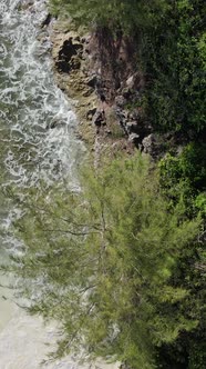 Zanzibar Tanzania  Ocean Shore Covered with Green Thickets Vertical Video