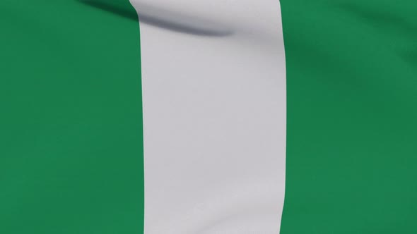 Flag Nigeria Patriotism National Freedom Seamless Loop