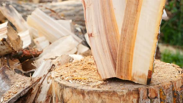 Chopping Wood with an Ax in the Forest